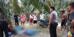 Hhhhhhhhh09 Karyawan Bank di Bungo Ditemukan Sudah Tak Bernyawa di Kebun Sawit