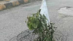 Hati-Hati Jalan Penghubung Dusun Kuning Gading Unit 17, Berlubang