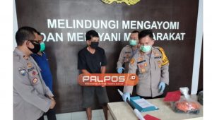 Pergoki Maling Sawit, Satpam Diseret lalu Dipukuli hingga Tewas