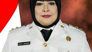 IMG-20200526-WA0002 Hj. Sofia Joesoef Wakil Bupati Batanghari Tutup Usia