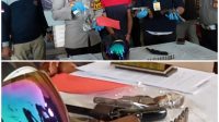 20200617_191202 Tim Gabungan Polresta Jambi Berhasil Amankan Salah Satu Pelaku Dan 3 Pucuk Senpi Rakitan