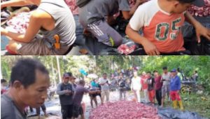 IMG_20200803_184217 Warga Rantau Gedang Rekor Sembelih 22 Ekor Hewan Kurban