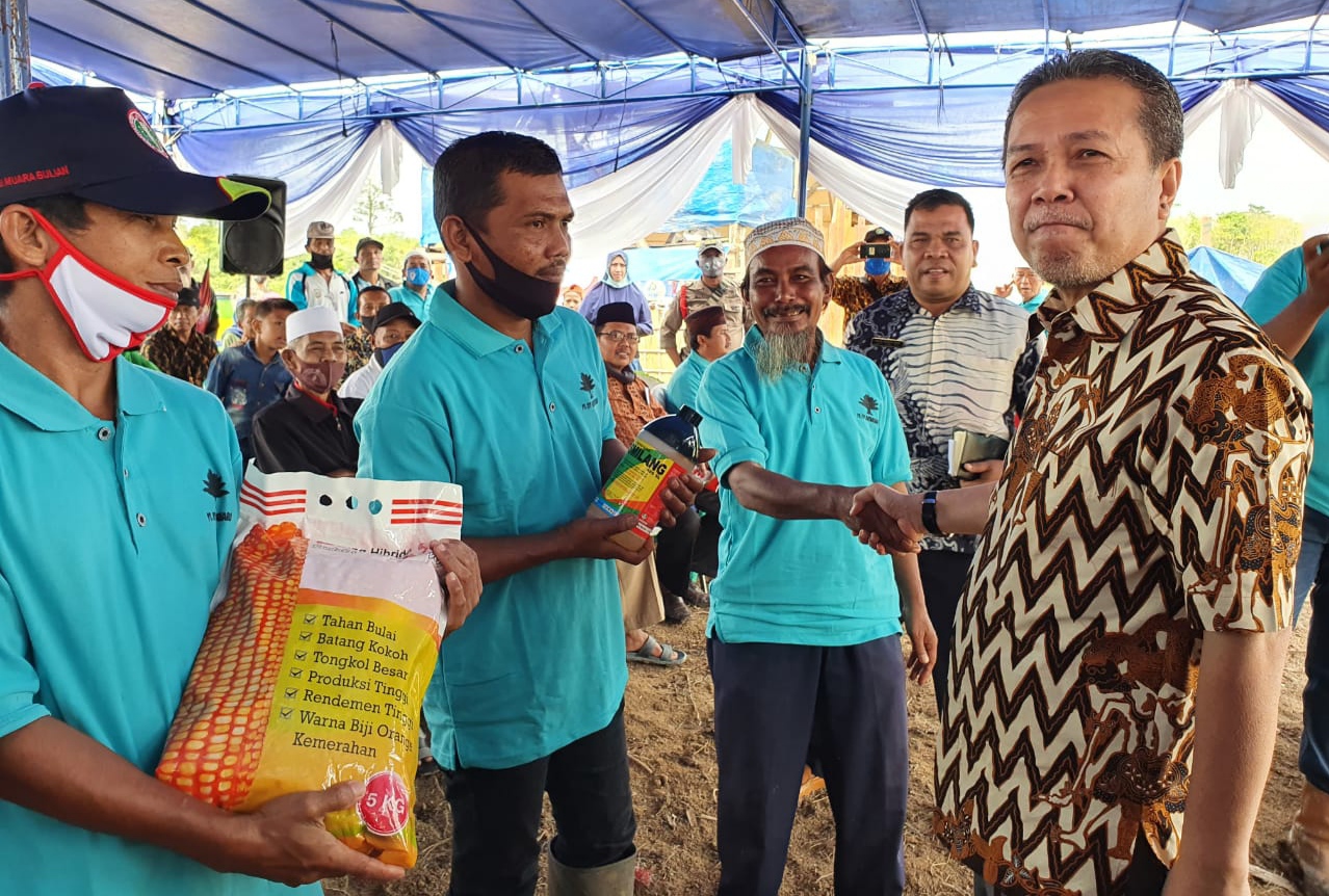 Bupati Syahirsah Salurkan 14.488 Bibit Kelapa Sawit Kepada Poktan Maju Bersama 