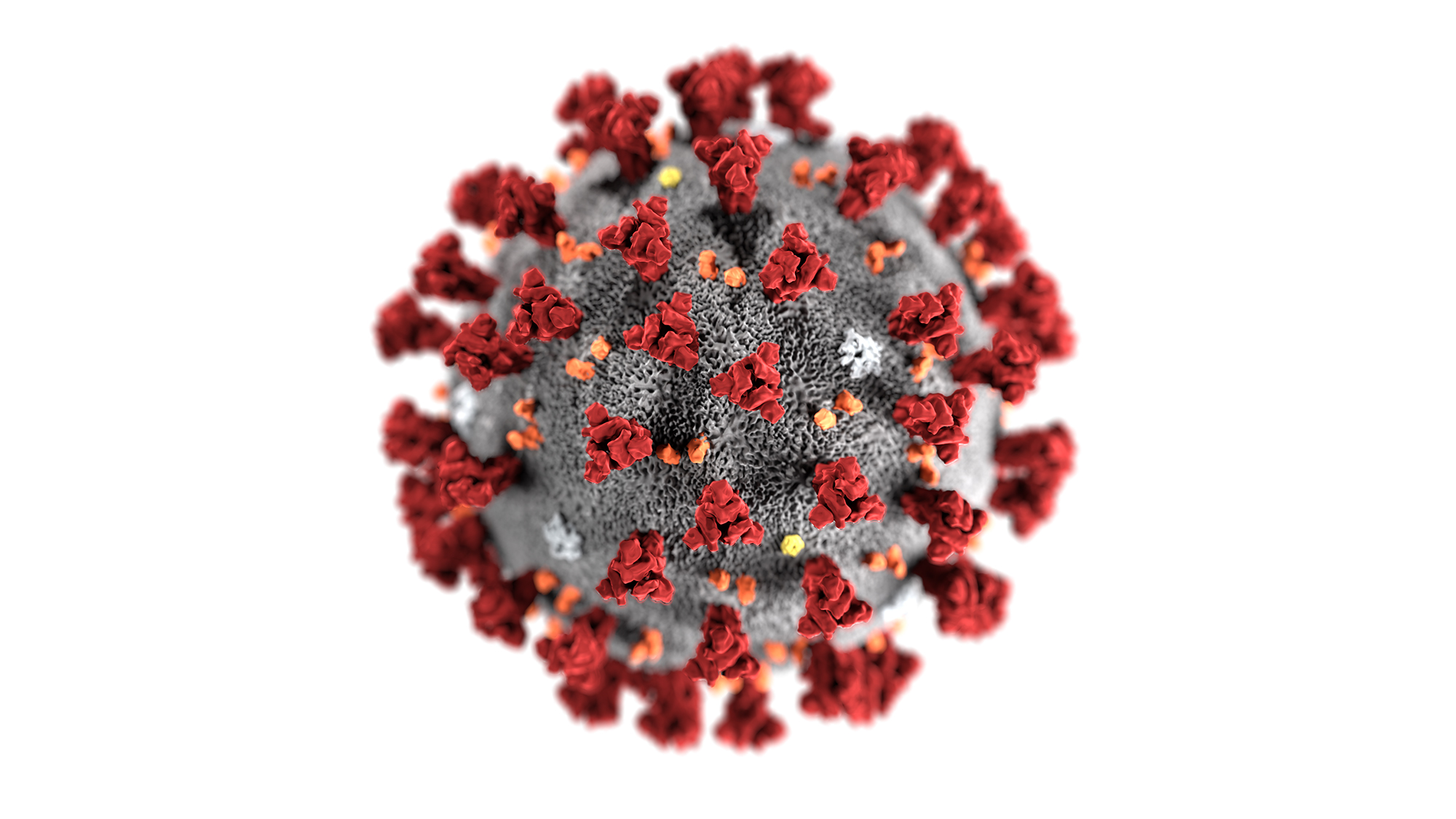 Coronavirus CDC