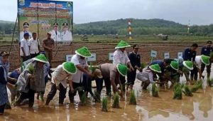 Empat Tahun Jadi Bupati, HAMAS-APRI Terbukti Pro Petani