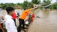 IMG-20201011-WA0008 Produksi Meningkat, Bukti HAMAS-APRI Sukses Lestarikan Ikan Sungai