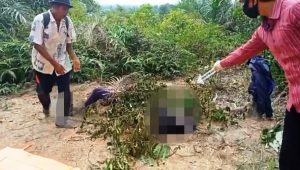 Penemuan Mayat di Tuo Sumay, Sang Ayah Ungkap Penyebab Kematian Anaknya