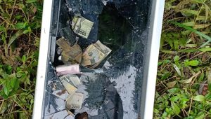 Warga Sungai Pinang Bungo Temukan Benda Ini