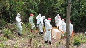covid-19 Pemkab Bungo Sediakan Lahan Khusus untuk Pemakaman Covid-19
