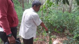IMG_20201204_091751 Kasus Terungkap Ditemukannya Jeroan Sapi