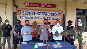 IMG-20210120-WA0007 Kakek dan Cucu Tanam Ganja 3 Hektar