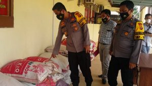 IMG_20210121_204042-768x508 Diduga Melakukan Perbuatan Terlarang, HR Diamankan Pihak Polres Merangin