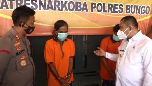 bupati 1 Penemuan 3 Hektar Ladang Ganja, Bupati Minta Ini ke Masyarakat