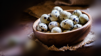 telur puyuh