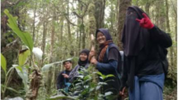 mahasiswi- ditemukan-gunung masurai Tiga Mahasiswi UIN Yang Hilang Akhirnya di Temukan