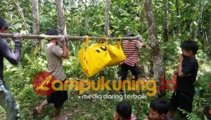 Warga Dusun Silungko Pelayang Bungo Digegerkan Penemuan Mayat di Dalam Pondok