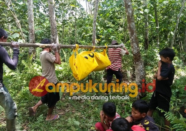 Warga Dusun Silungko Pelayang Bungo Digegerkan Penemuan Mayat di Dalam Pondok