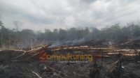 karhutla-jaluko Lahan di Jaluko Terbakar, Polisi Amankan Pria Lansia