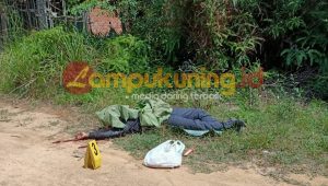lampukuning_id_mayat-diduga-korban-pembunuhan Mayat Tergeletak Disisi Jalan, Diduga Korban Dibunuh