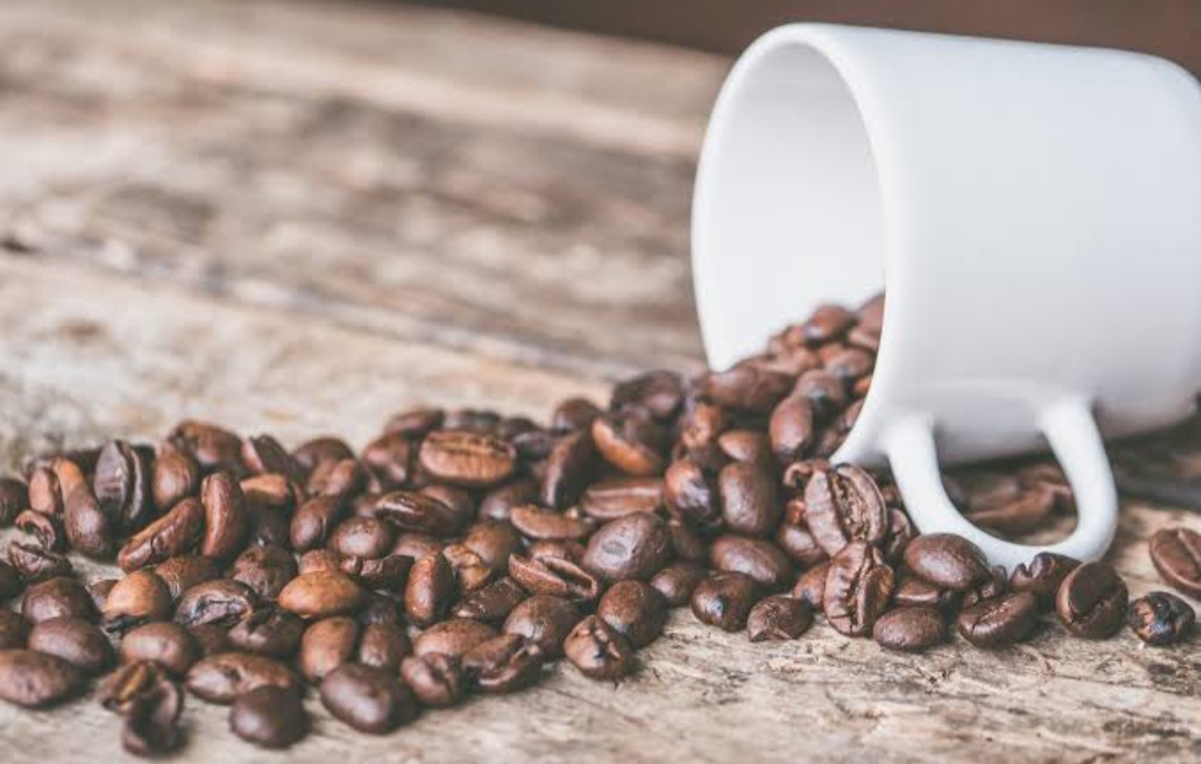 Tujuh Biji Kopi Indonesia Berkualitas