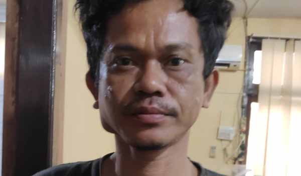 lampukuning id pelaku