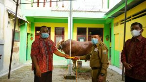Gubernur Jambi Al Haris Serahkan Hewan Kurban di Masjid Al Fallah