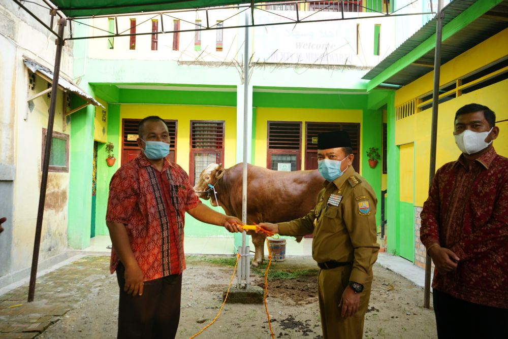 Gubernur Jambi Al Haris Serahkan Hewan Kurban di Masjid Al Fallah