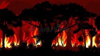 foto ilustrasiiiiiiiii