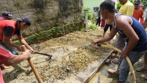 lampukuning id bangkit berdaya kota jambi