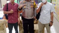lampukuning id pilkades