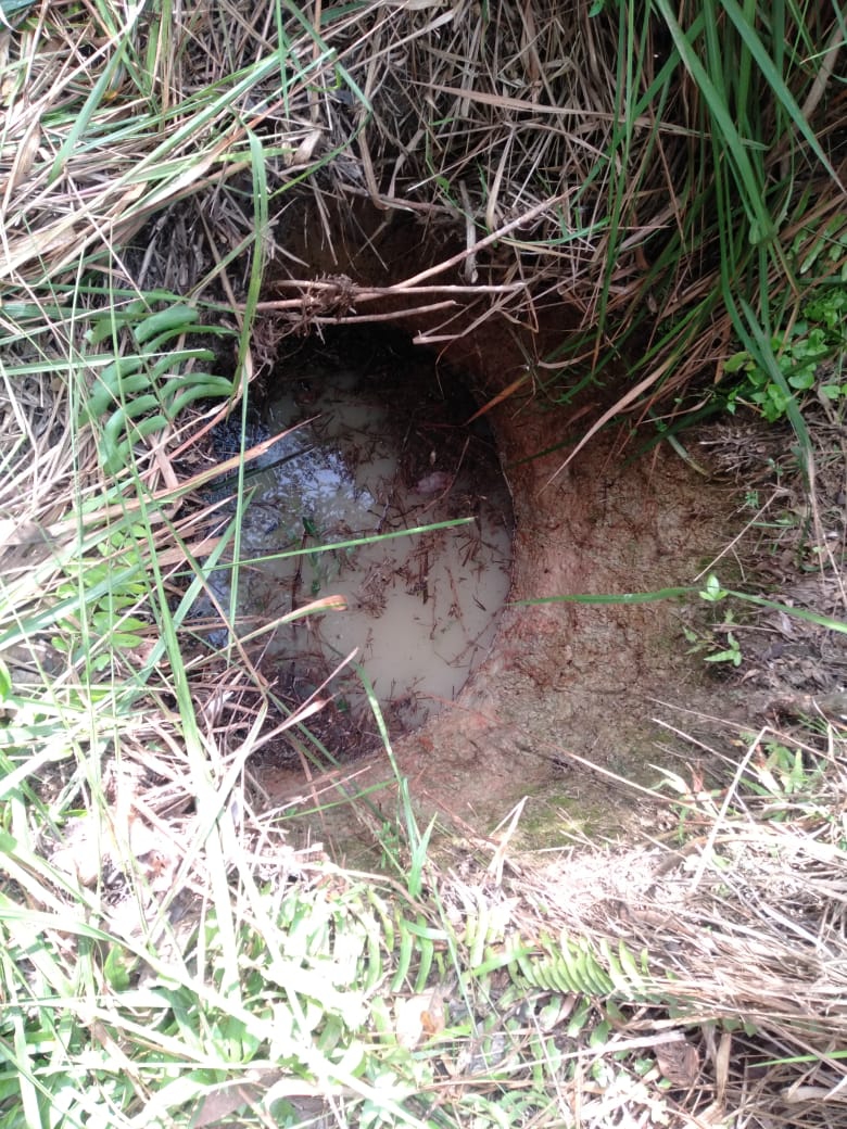 lampukuning id sumur