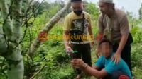 Talak Berujung Penganiayaan, Suami Tusuk istri Hingga Kritis