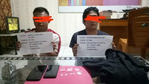 lampukuning_id_pelaku-narkotika Dua Pelaku Narkotika Diterkam Team Macan Polres Merangin