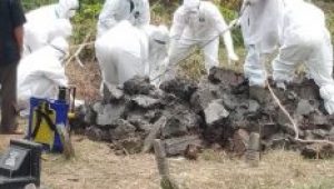 lampukuning_id_pemakaman 25 Pasien Covid-19 di Jambi Meninggal