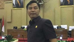 Faruk : Jangan Hanya Danau Sipin, di Seberang ada Danau Teluk