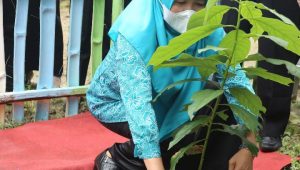 foto-hj-hesti-alharis-ketua-pkk-jambi Ketua PKK Provinsi Jambi Hj. Hesti Haris Mengajak masyarakat manfaatkan Teknologi dalam Kegiatan PKK