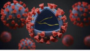 foto-ilustrasi-virus Update Corona RI Per 1 Oktober2021:Penambahan 1.624 Kasus Covid-19