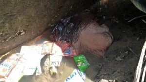 foto-lokasi-jasad-bayi-di-temukan Polresta Jambi Evakuasi Jasad Bayi Perempuan
