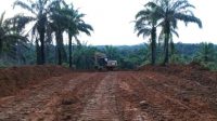 foto pembukaan jalan baru tmmd112