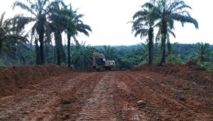 foto-pembukaan-jalan-baru-tmmd112 Pembukaan Jalan Baru Oleh TMMD Ke-112 Kodim 0416/Bute Sudah Mencapai 60,7 Persen