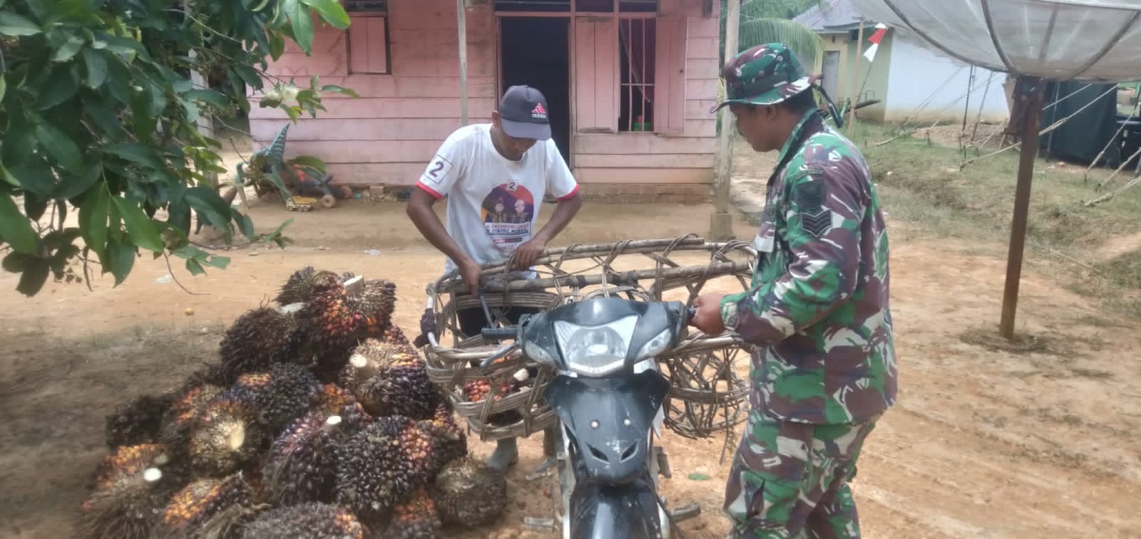 Satgas TMMD Bantu Bapak Asuh Bongkar Muat Sawit