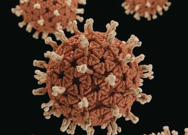 foto virus ilustrasi