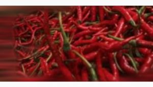 Harga Cabai di Kota Jambi Melambung Capai  Rp70 Ribu/Kg
