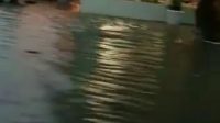 foto banjir palembang