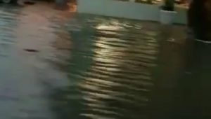 foto-banjir-palembang Palembang Dikepung Banjir