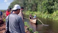 foto-di-terkam-buaya Buruh Tanam Diterk4m Buaya Usai Nelpon Keluarga