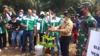 foto-gubernur-jambi Gubernur Jambi Al Haris Tanam Perdana Porang di Kabupaten Merangin