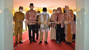 foto-alharis Pemprov Jambi Upayakan Pemerataan Dokter Spesialis