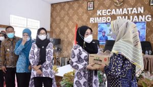 foto-ketua-tp-pkk-tebo Ketua TPP- PKK Tebo Berikan Pelatihan Kepada Kader Di Kecamatan