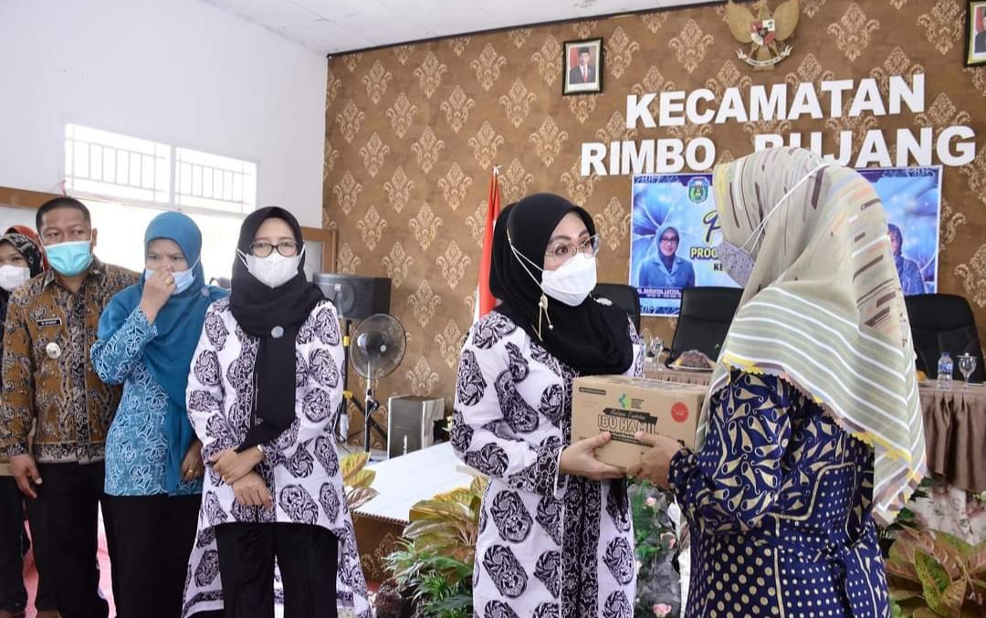 Ketua TPP- PKK Tebo Berikan Pelatihan Kepada Kader Di Kecamatan